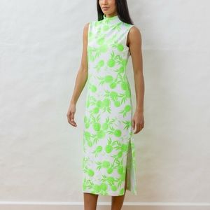 NWT Lauren Maxi Dress Green Pineapple Print Dudley Stephens Brand